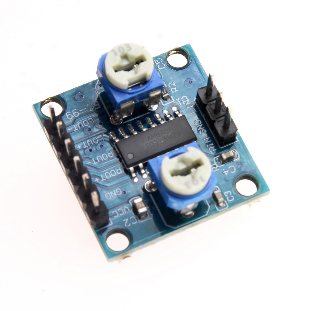 PAM8406 MODULE