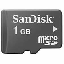 MICRO SD 1G